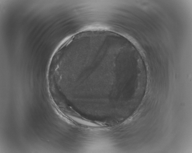 X0000052960864200508050946