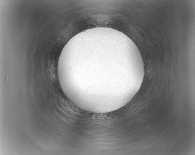 X0000052960866200508050946