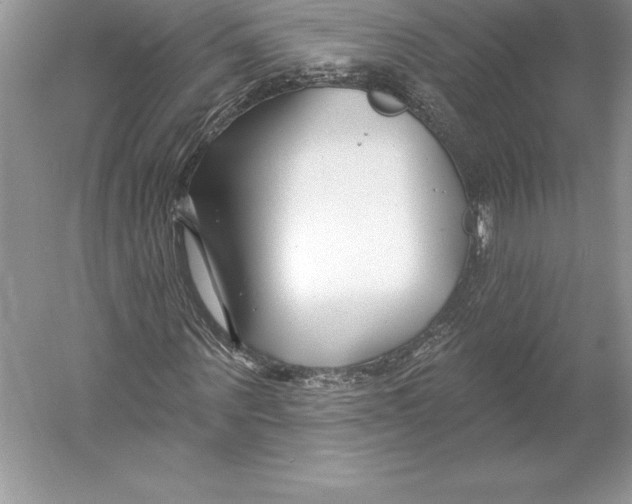 X0000052960867200508050946