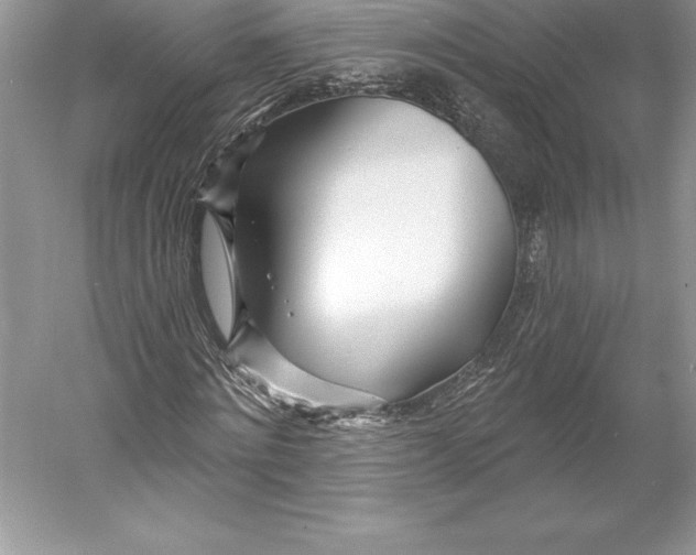 X0000052960868200508050946