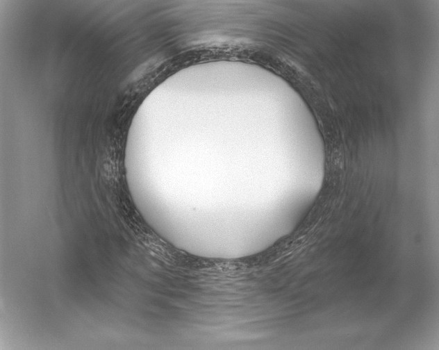 X0000052960869200508050946