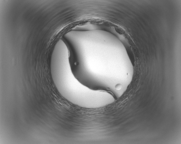 X0000052960871200508050946