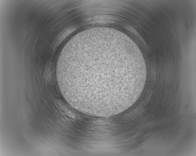 X0000052960874200508050945