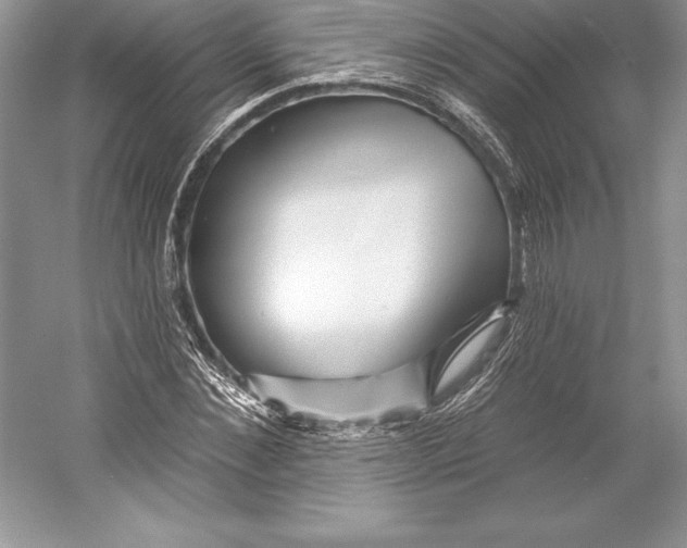 X0000052960876200508050945