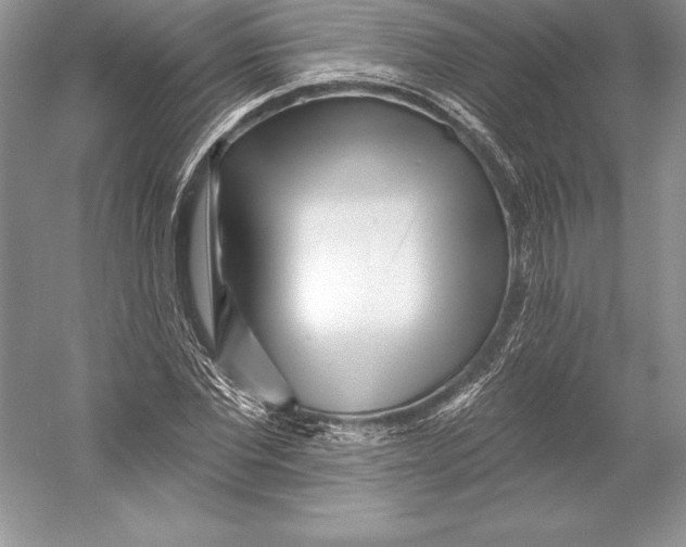 X0000052960877200508050945