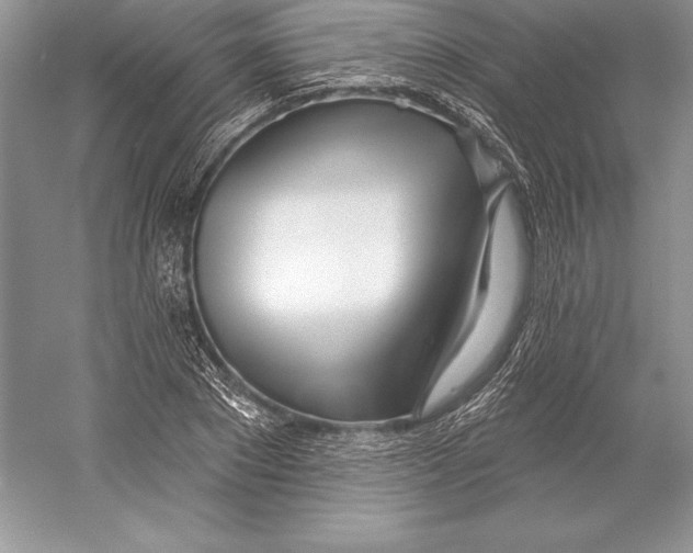 X0000052960881200508050945
