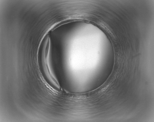 X0000052960884200508050945