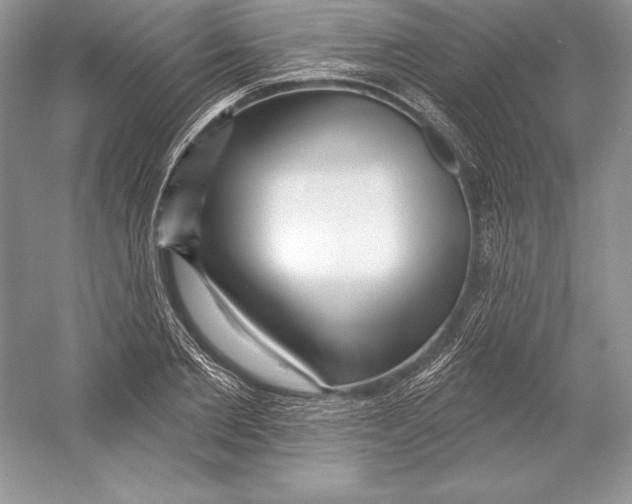 X0000052960885200508050945