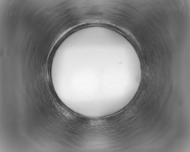 X0000052960887200508050945