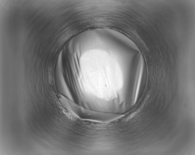 X0000052960889200508050945