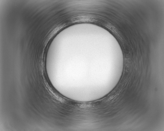 X0000052960890200508050945