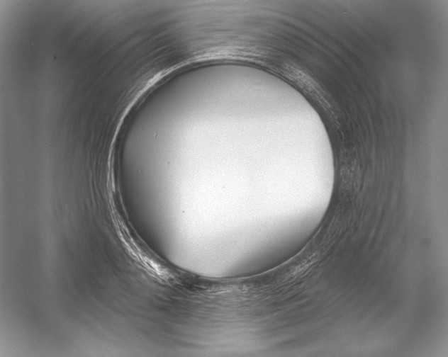 X0000052960892200508050945