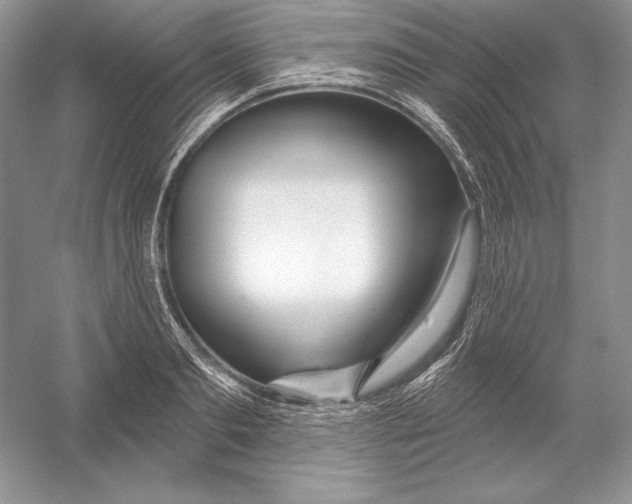 X0000052960893200508050945