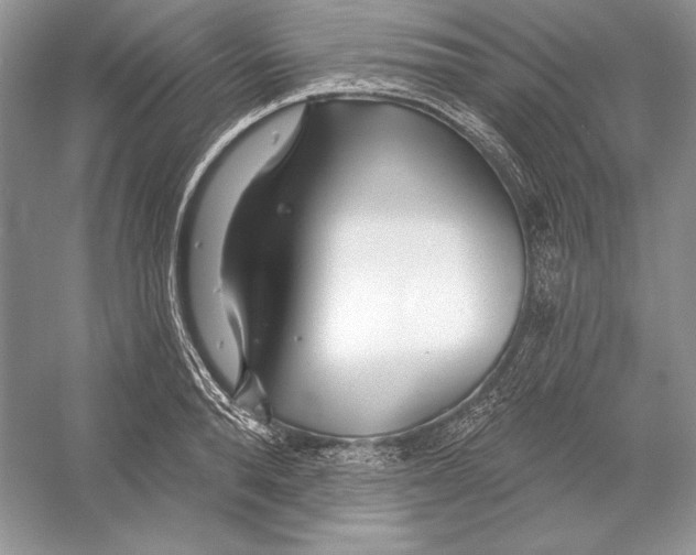 X0000052960896200508050945