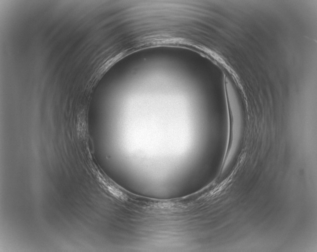 X0000052960897200508050945