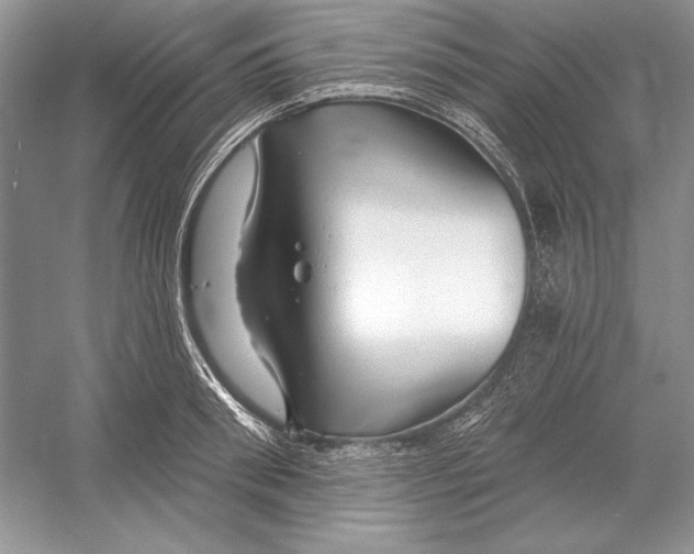 X0000052960898200508050945