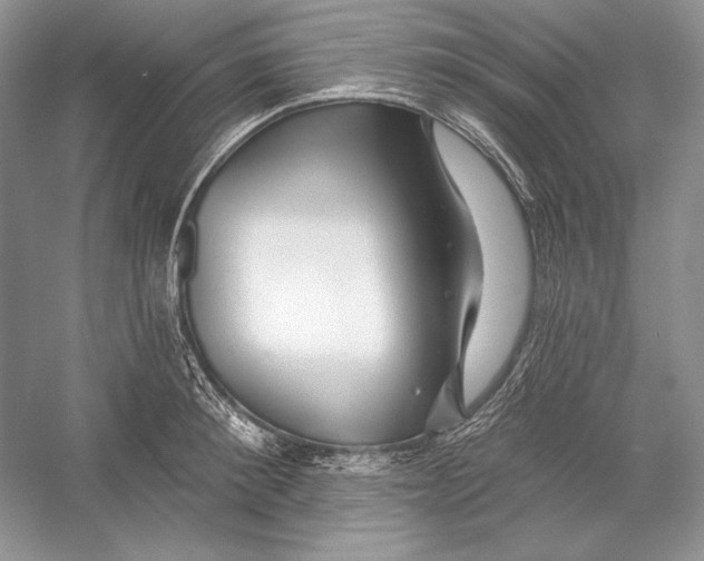 X0000052960900200508050945