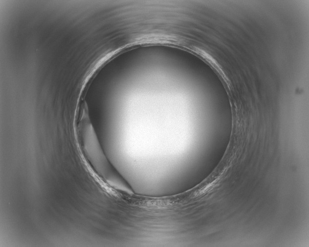 X0000052960901200508050945