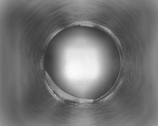 X0000052960905200508050945