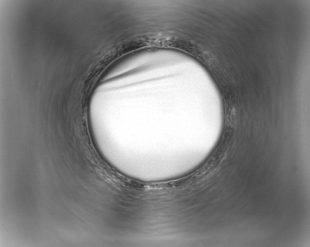 X0000052960913200508050944