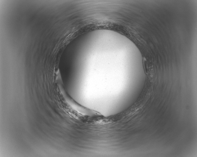 X0000052960916200508050944