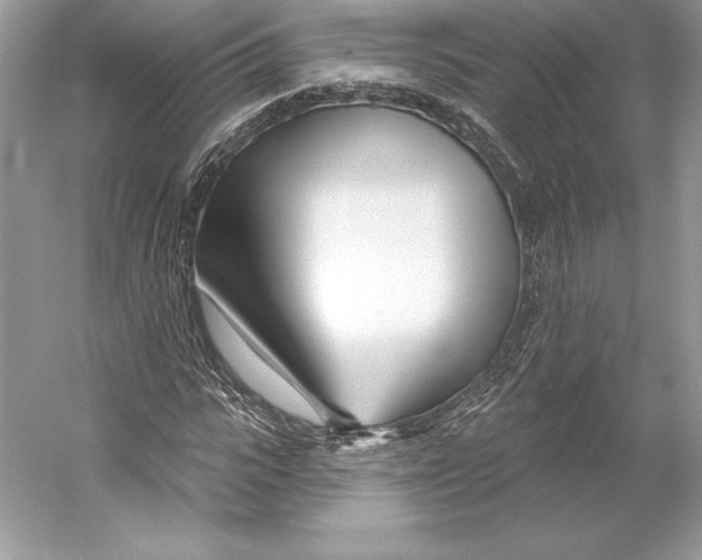 X0000052960919200508050944