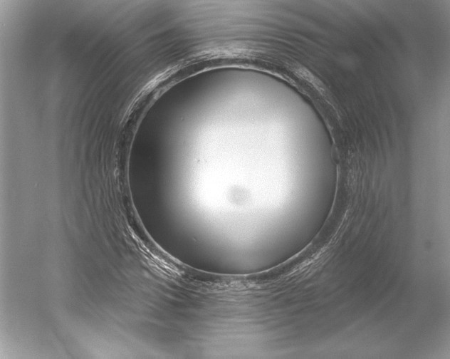 X0000052960922200508050944