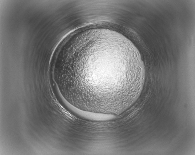 X0000052960924200508050944