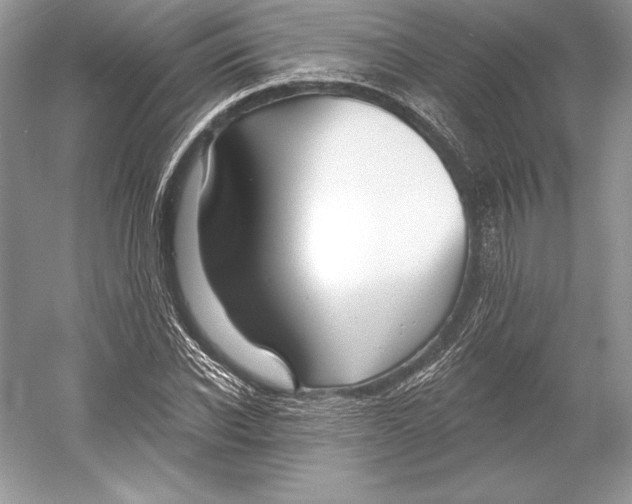 X0000052960926200508050944