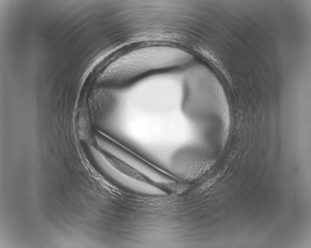 X0000052960928200508050944