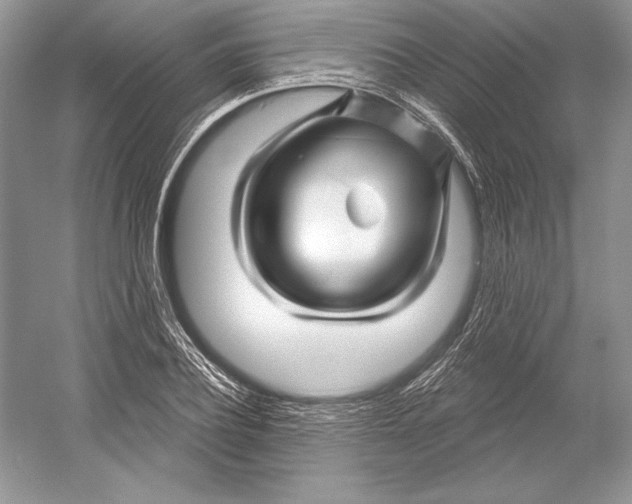 X0000052960932200508050944