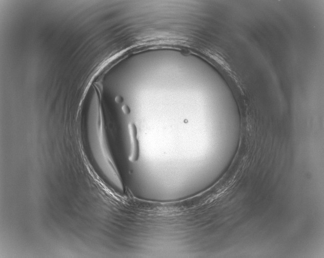 X0000052960933200508050944