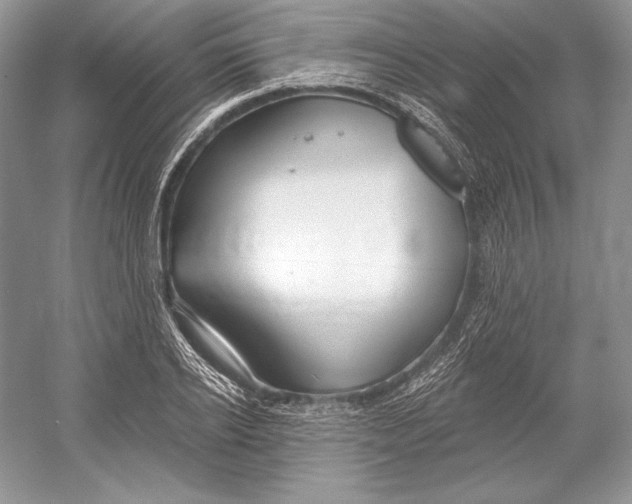 X0000052960934200508050944