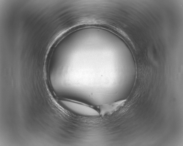 X0000052960935200508050944