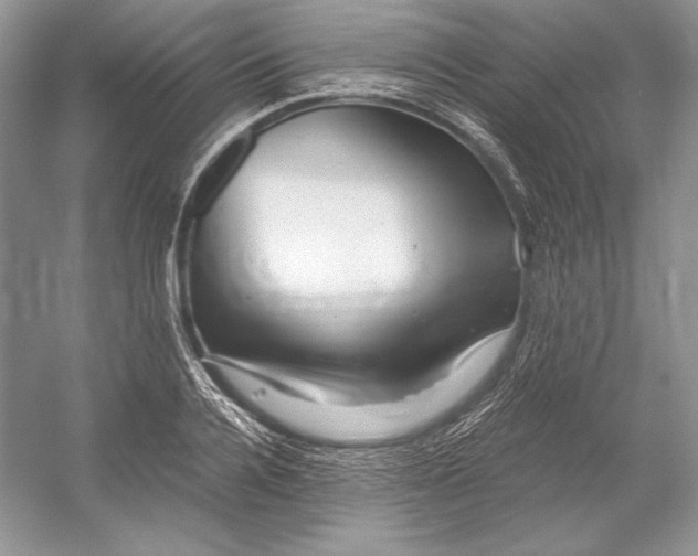 X0000052960936200508050944