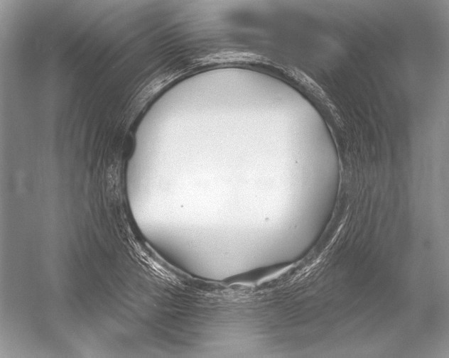X0000052960937200508050944
