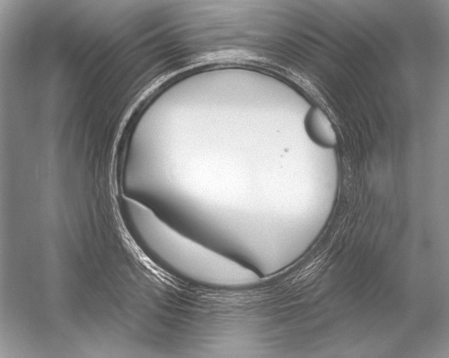 X0000052960939200508050944