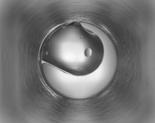 X0000052960940200508050944