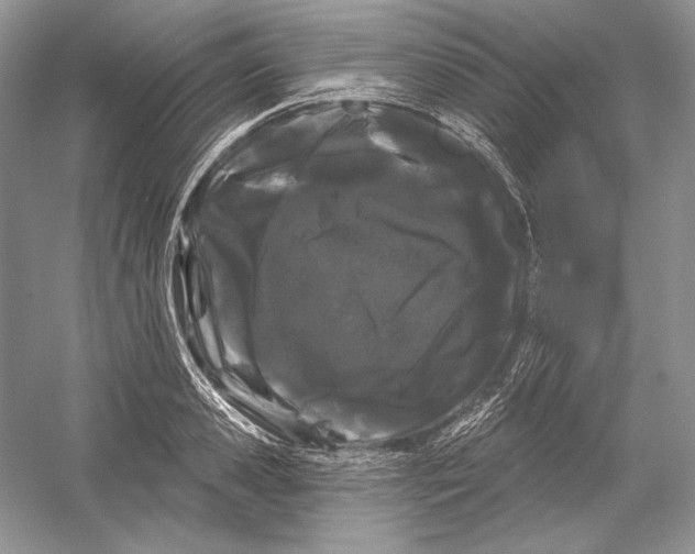 X0000052960941200508050945