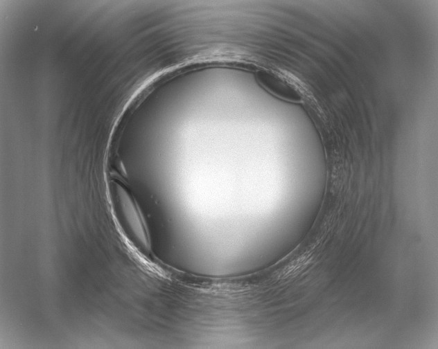 X0000052960942200508050945