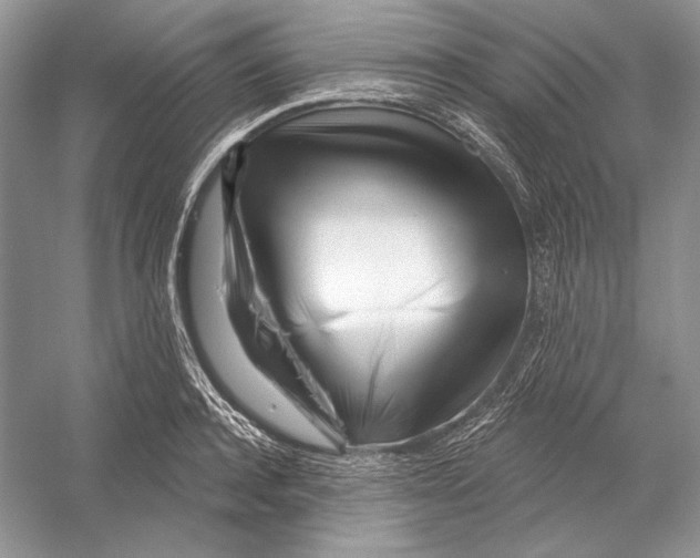 X0000052960944200508050945