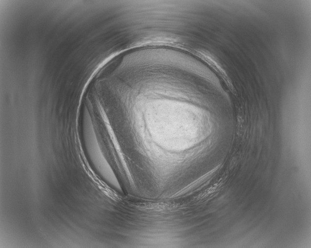 X0000052960948200508050945