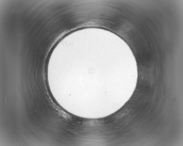 X0000052960950200508050945