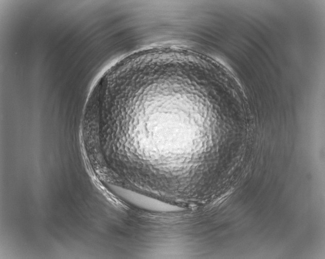 X0000052960952200508050945