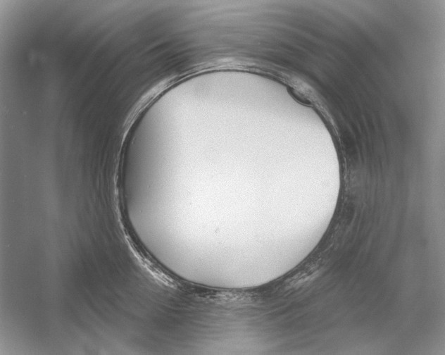 X0000052960954200508050945