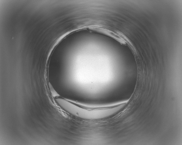 X0000052960956200508050945