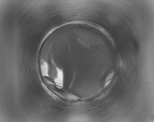 X0000052960958200508050945