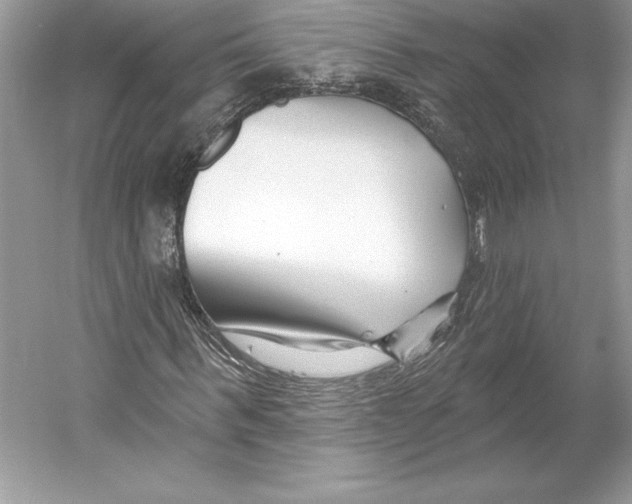 X0000052960963200508050944