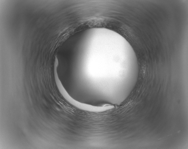 X0000052960964200508050944