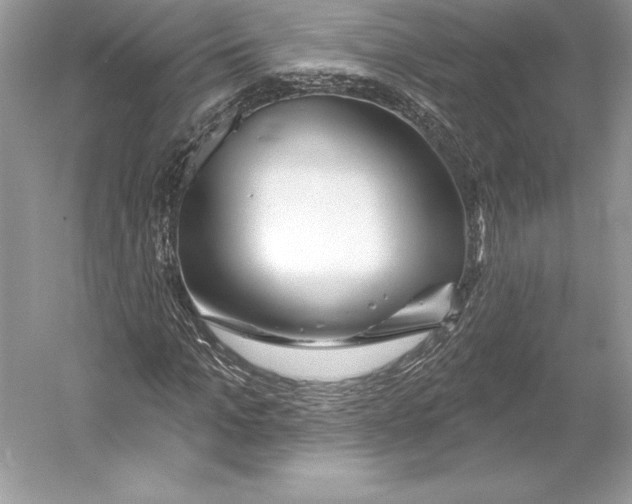 X0000052960965200508050944